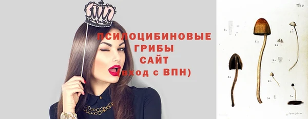 mdpv Арсеньев