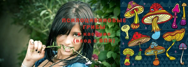mix Аркадак