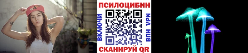 Купить где Фрязино Псилоцибиновые грибы GOLDEN TEACHER