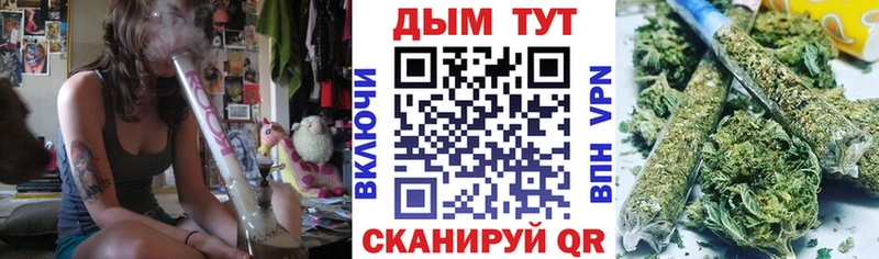 Каннабис конопля Фрязино